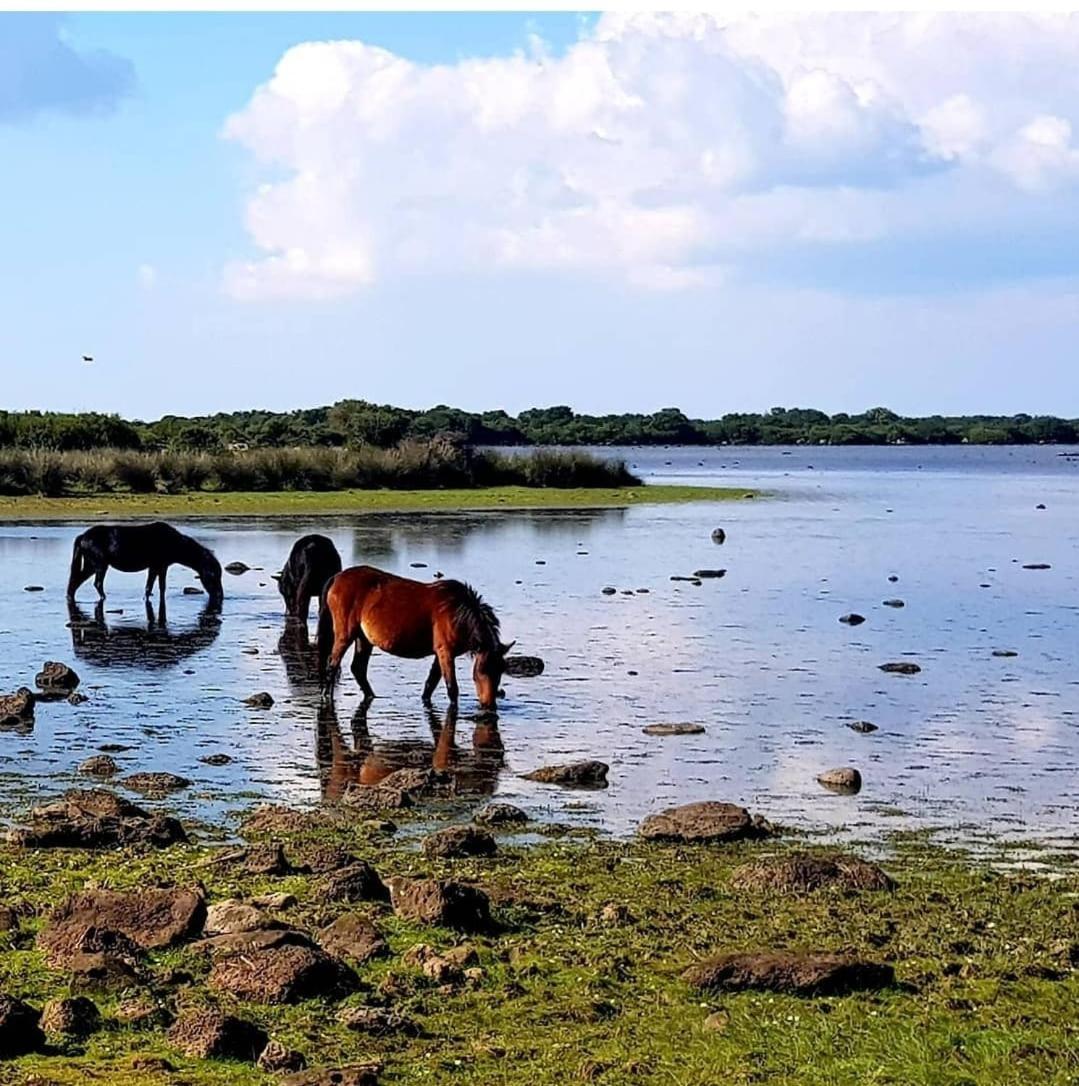 Casa Susanna Rural Sardinia Sini Eksteriør billede